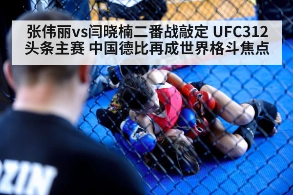 张伟丽vs闫晓楠二番战敲定 UFC312头条主赛 中国德比再成世界格斗焦点
